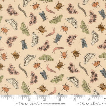 Image of Petalush Entomology Ballerina quilting cotton fabric by Kiley's Quilt Room for Moda Fabrics. Features bugs on a cream background. Cute Little Fabric Shop.