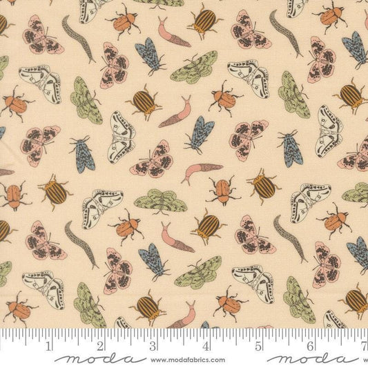 Image of Petalush Entomology Ballerina quilting cotton fabric by Kiley's Quilt Room for Moda Fabrics. Features bugs on a cream background. Cute Little Fabric Shop.