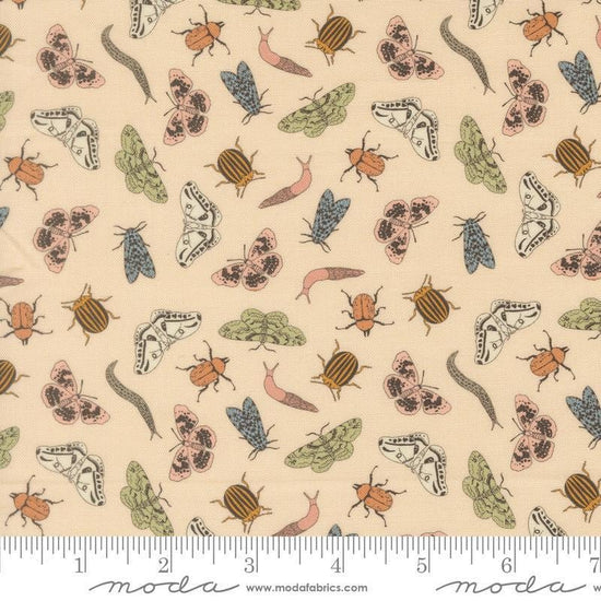 Image of Petalush Entomology Ballerina quilting cotton fabric by Kiley's Quilt Room for Moda Fabrics. Features bugs on a cream background. Cute Little Fabric Shop.