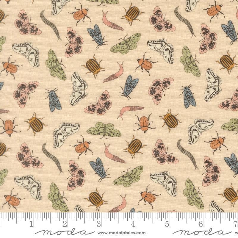 Image of Petalush Entomology Ballerina quilting cotton fabric by Kiley's Quilt Room for Moda Fabrics. Features bugs on a cream background. Cute Little Fabric Shop.