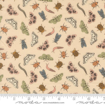 Image of Petalush Entomology Ballerina quilting cotton fabric by Kiley's Quilt Room for Moda Fabrics. Features bugs on a cream background. Cute Little Fabric Shop.