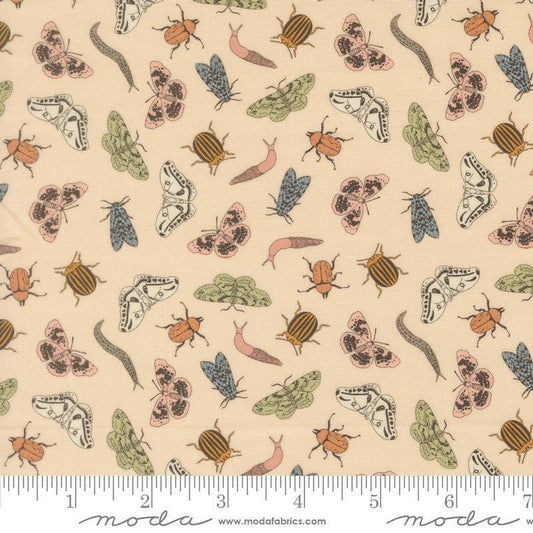 Image of Petalush Entomology Ballerina quilting cotton fabric by Kiley's Quilt Room for Moda Fabrics. Features bugs on a cream background. Cute Little Fabric Shop.