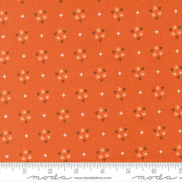 Image of Birch and Willow Blooms Spice quilting cotton fabric by Sherri & Chelsi for Moda Fabrics. Features flowers on an orange background. Cute Little Fabric Shop.