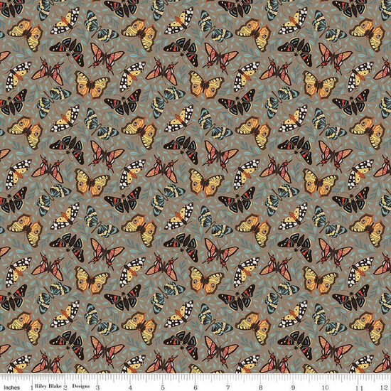Image of Secret Garden Moths Chestnut quilting cotton fabric by Amanda Castor for Riley Blake Designs. Features bugs on a gray background. Cute Little Fabric Shop.