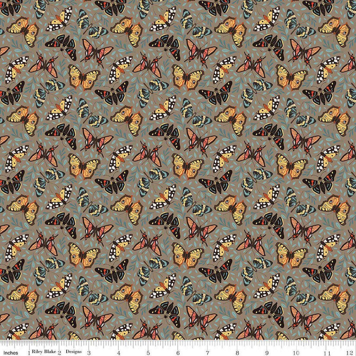 Image of Secret Garden Moths Chestnut quilting cotton fabric by Amanda Castor for Riley Blake Designs. Features bugs on a gray background. Cute Little Fabric Shop.