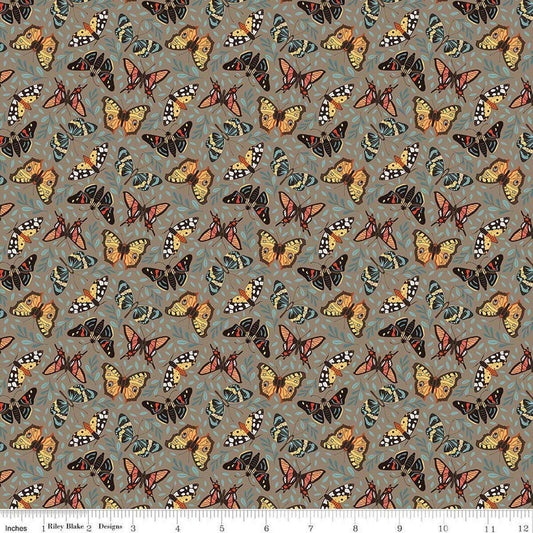 Image of Secret Garden Moths Chestnut quilting cotton fabric by Amanda Castor for Riley Blake Designs. Features bugs on a gray background. Cute Little Fabric Shop.