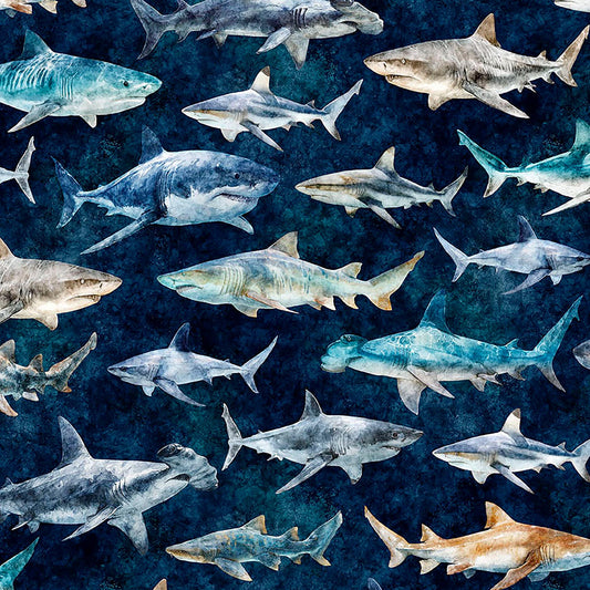 Image of Into the Deep Sharks Mediterranean quilting cotton fabric by Morris Creative Group for QT Fabrics. Features sharks on a blue background. Cute Little Fabric Shop.