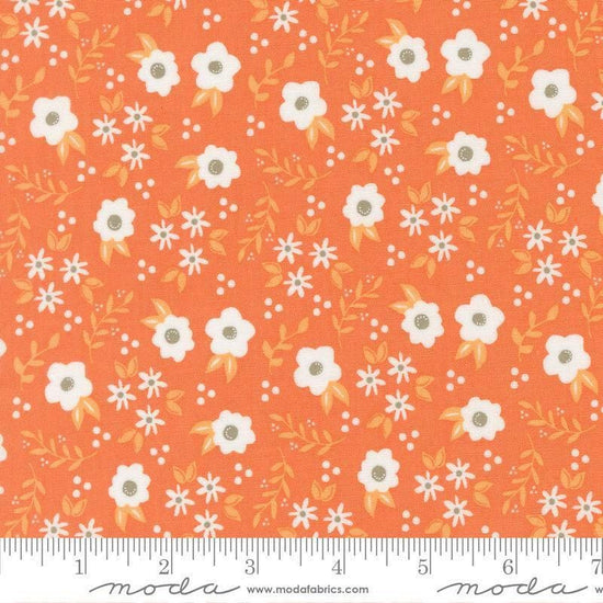 Image of Birch and Willow Mums Florals Pumpkin quilting cotton fabric by Sherri & Chelsi for Moda Fabrics. Features flowers on an orange background. Cute Little Fabric Shop.