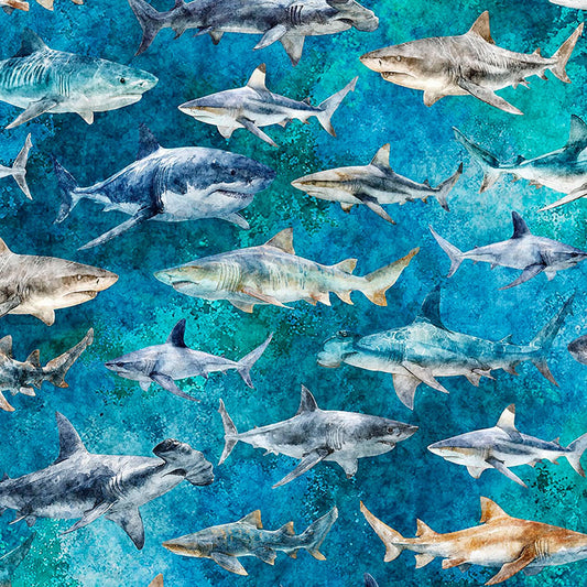 Image of Into the Deep Sharks Turquoise quilting cotton fabric by Morris Creative Group for QT Fabrics. Features sharks on a blue background. Cute Little Fabric Shop.