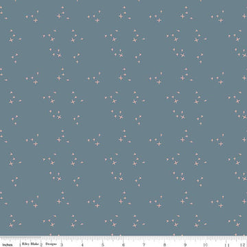 Image of Petals & Hazel Scatter Blue quilting cotton fabric by Simple Simon & Company for Riley Blake Designs. Features stars on a blue background. Cute Little Fabric Shop.