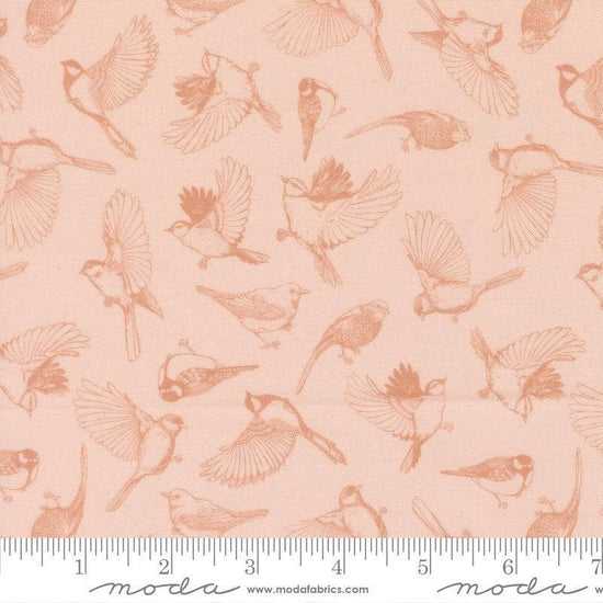 Image of Feather and Forest Bloom Flock of Feathers Petal quilting cotton fabric by Linn Warme for Moda Fabrics. Features birds on a pink background. Cute Little Fabric Shop.