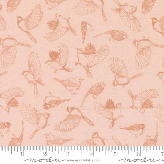 Image of Feather and Forest Bloom Flock of Feathers Petal quilting cotton fabric by Linn Warme for Moda Fabrics. Features birds on a pink background. Cute Little Fabric Shop.