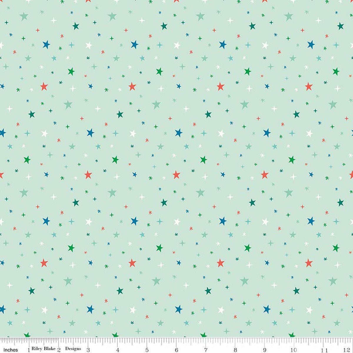 Image of Brave Your Way Beyond the Stars Mint quilting cotton fabric by Cayla Naylor for Riley Blake Designs. Features stars on a green background. Cute Little Fabric Shop.