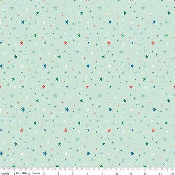 Image of Brave Your Way Beyond the Stars Mint quilting cotton fabric by Cayla Naylor for Riley Blake Designs. Features stars on a green background. Cute Little Fabric Shop.