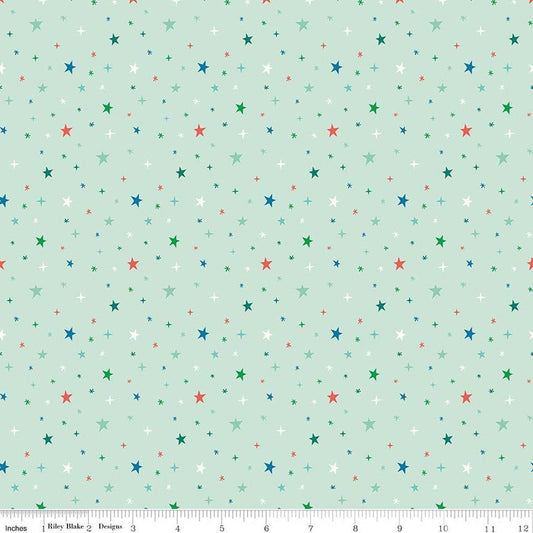 Image of Brave Your Way Beyond the Stars Mint quilting cotton fabric by Cayla Naylor for Riley Blake Designs. Features stars on a green background. Cute Little Fabric Shop.