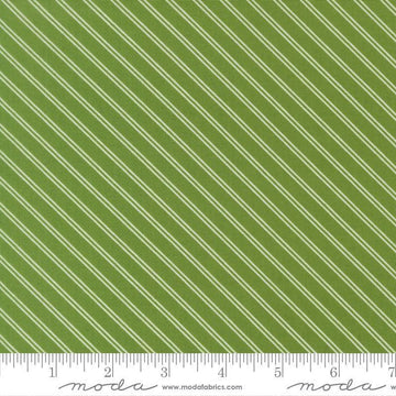 Image of Bloomsberry Stripe Green quilting cotton fabric by Camille Roskelley for Moda Fabrics. Features stripes on a green background. Cute Little Fabric Shop.