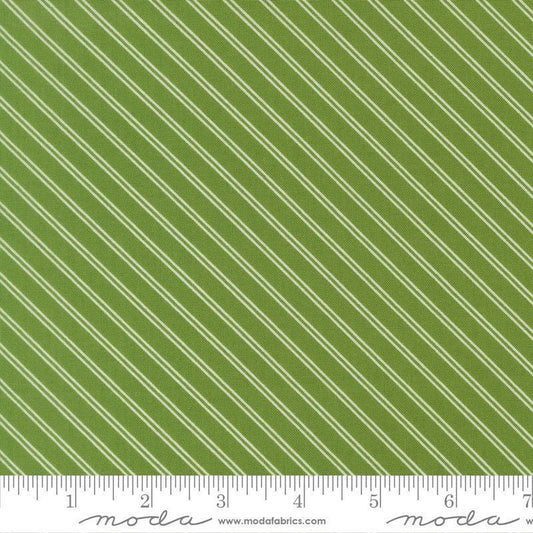 Image of Bloomsberry Stripe Green quilting cotton fabric by Camille Roskelley for Moda Fabrics. Features stripes on a green background. Cute Little Fabric Shop.