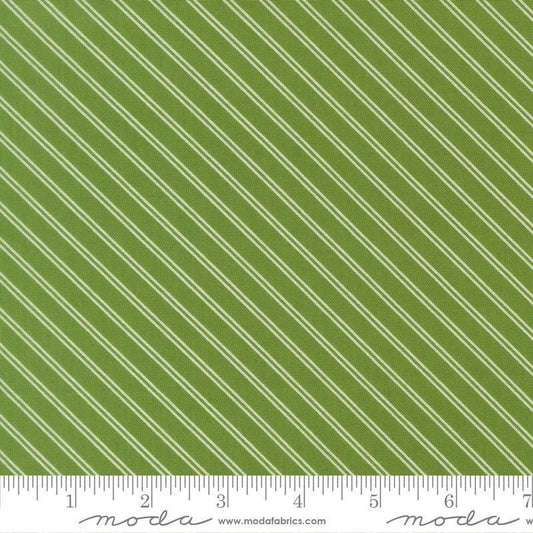 Image of Bloomsberry Stripe Green quilting cotton fabric by Camille Roskelley for Moda Fabrics. Features stripes on a green background. Cute Little Fabric Shop.