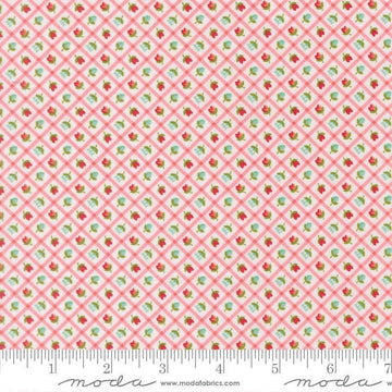 Image of Bloomsberry Check Blush quilting cotton fabric by Camille Roskelley for Moda Fabrics. Features flowers on a pink background. Cute Little Fabric Shop.