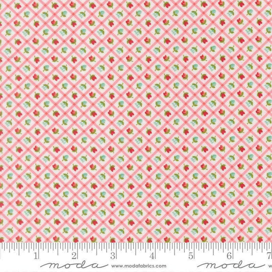Image of Bloomsberry Check Blush quilting cotton fabric by Camille Roskelley for Moda Fabrics. Features flowers on a pink background. Cute Little Fabric Shop.