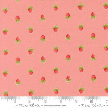 Image of Bloomsberry Berries Blush quilting cotton fabric by Camille Roskelley for Moda Fabrics. Features strawberries on a pink background. Cute Little Fabric Shop.
