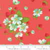 Image of Bloomsberry In Bloom Nantucket Red quilting cotton fabric by Camille Roskelley for Moda Fabrics. Features flowers on a red background. Cute Little Fabric Shop.