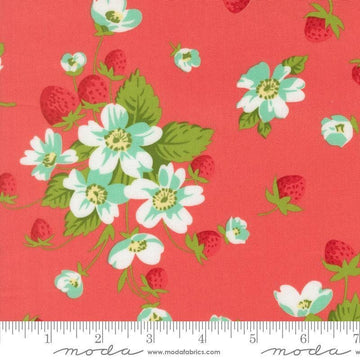 Image of Bloomsberry In Bloom Nantucket Red quilting cotton fabric by Camille Roskelley for Moda Fabrics. Features flowers on a red background. Cute Little Fabric Shop.