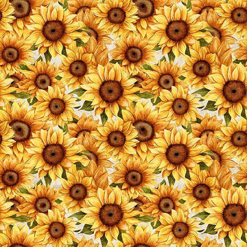 3-Yard-Cut - Sunflower Serenade Packed Sunflowers White Floral Fabric 108" WIDEBACK - 31804 Z108 - QT Fabrics Quilting Cotton Fabric