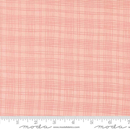 Image of Bug Collector Plaid Blush quilting cotton fabric by Sweetwater for Moda Fabrics. Features plaid on a pink background. Cute Little Fabric Shop.