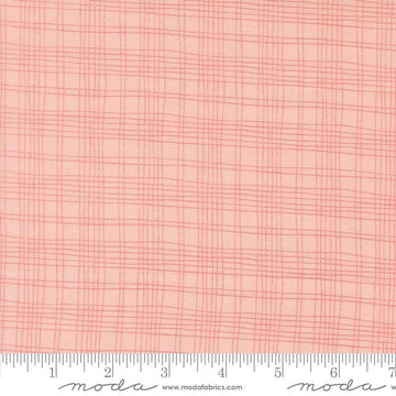 Image of Bug Collector Plaid Blush quilting cotton fabric by Sweetwater for Moda Fabrics. Features plaid on a pink background. Cute Little Fabric Shop.