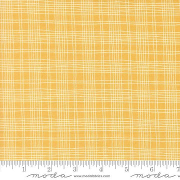 Image of Bug Collector Plaid Sunshine quilting cotton fabric by Sweetwater for Moda Fabrics. Features plaid on a yellow background. Cute Little Fabric Shop.