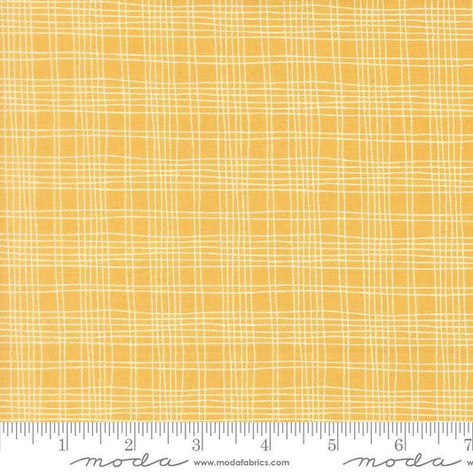 Image of Bug Collector Plaid Sunshine quilting cotton fabric by Sweetwater for Moda Fabrics. Features plaid on a yellow background. Cute Little Fabric Shop.