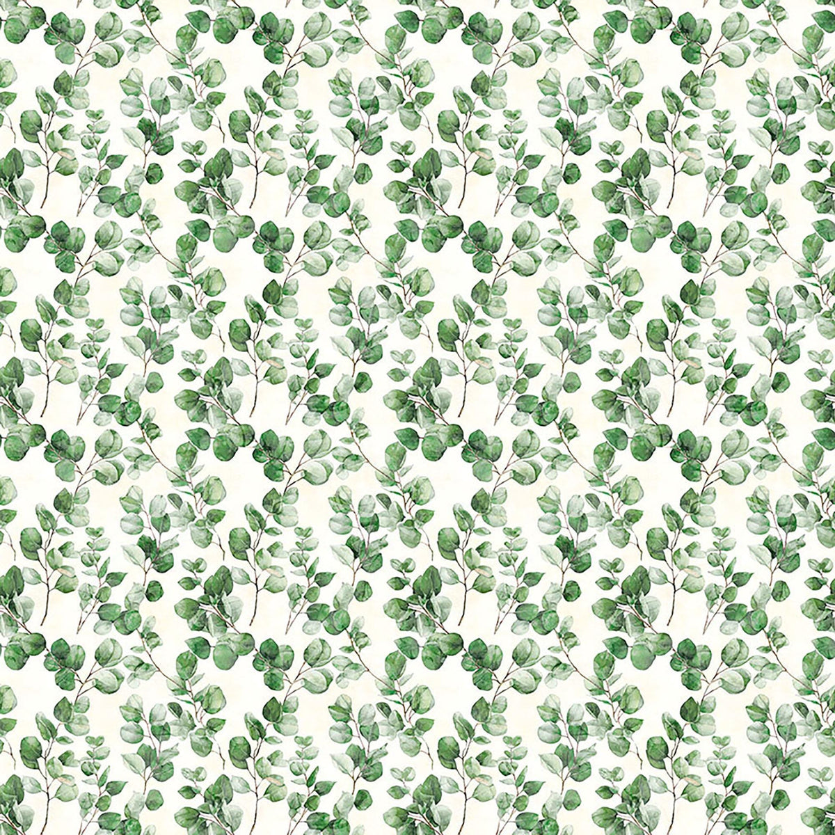 Image of Sylvan Essence Eucalyptus Eggshell quilting cotton fabric by Morris Creative Group for QT Fabrics. Features leaves on a white background. Cute Little Fabric Shop.