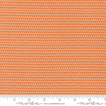Image of Bug Collector Squiggles Orange quilting cotton fabric by Sweetwater for Moda Fabrics. Features lines on an orange background. Cute Little Fabric Shop.