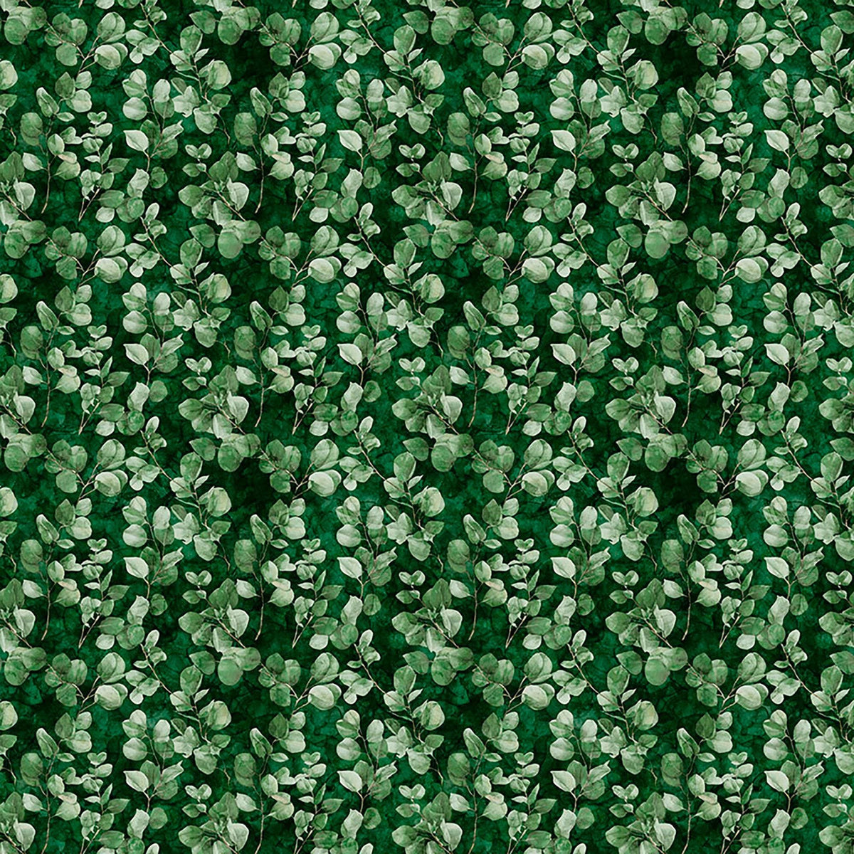 Image of Sylvan Essence Eucalyptus Forest quilting cotton fabric by Morris Creative Group for QT Fabrics. Features leaves on a green background. Cute Little Fabric Shop.