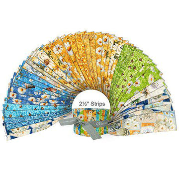 Daisy Delights 2.5" Rolie Polie Floral Fabric - STRIP DADE 6PKX - 42-Piece Precut - QT Fabrics Quilting Cotton Fabric
