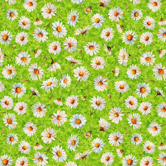 Image of Daisy Delights Daisy Toss Lime quilting cotton fabric by Morris Creative Group for QT Fabrics. Features flowers on a green background. Cute Little Fabric Shop.