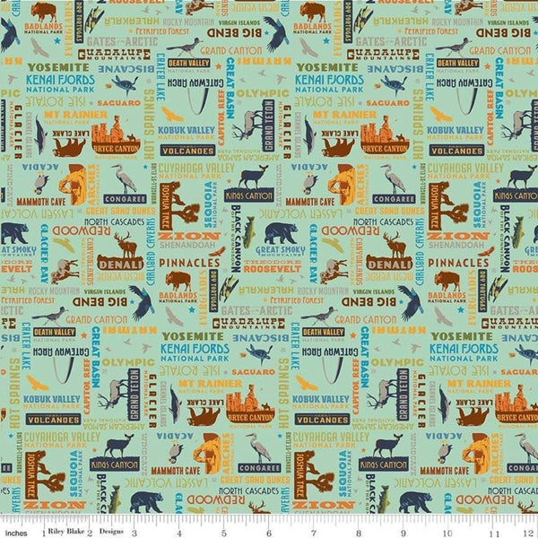 SALE National Parks Word Print Sea Green - Riley Blake Designs - Names Places Wildlife Outdoors - Quilting Cotton Fabric