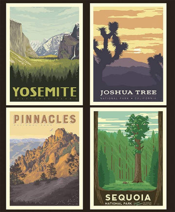 National Parks Pillow Panel California - Riley Blake Designs - Outdoors Recreation Posters DIGITALLY PRINTED - Quilting Cotton Fabric