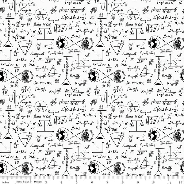 NASA Apollo 11 Astrophysics White - Riley Blake Designs - Space Math Equations - Quilting Cotton Fabric - Licensed Product