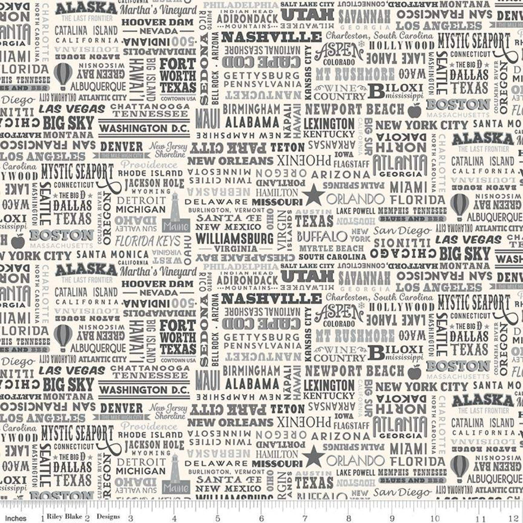 Destinations United States Destinations C10029 Gray - Riley Blake Designs - Cities States Points of Interest - Quilting Cotton Fabric