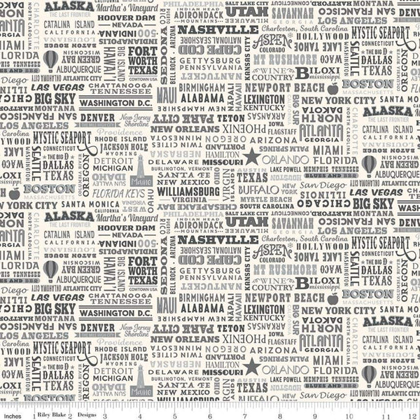 SALE Destinations United States Destinations C10029 Gray - Riley Blake Designs - Cities States Points of Interest - Quilting Cotton Fabric