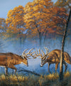 SALE Nature's Finest Panel Battlefield Deer - Riley Blake Designs - Quilting Cotton Fabric
