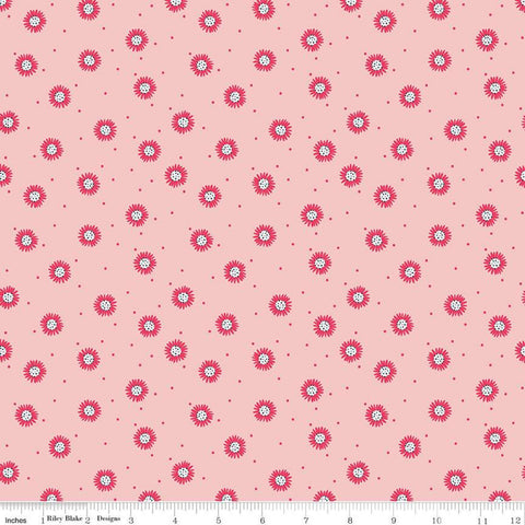 SALE Golden Aster Daisy C9844 Pink - Riley Blake Designs - Floral Flowers Daisies Pin Dot Pink Cream - Quilting Cotton Fabric