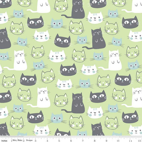 SALE Purrfect Day Main C9900 Green - Riley Blake Designs - Cat Cats Kittens Green Blue White Gray - Quilting Cotton Fabric