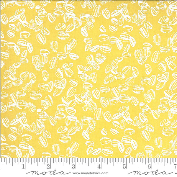 SALE Solana Sunflower Seeds 48686 Buttercup - Moda Fabrics - Yellow - Quilting Cotton Fabric