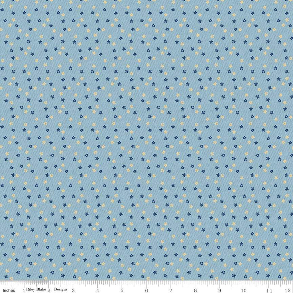 SALE Delightful Daisies C10256 Blue - Riley Blake Designs - Floral Flowers - Quilting Cotton Fabric