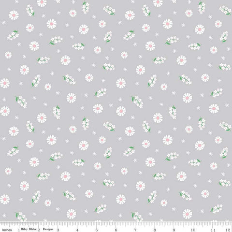SALE Pure Delight Blooms C10091 Gray - Riley Blake Designs - Floral Flowers White Daisies on Gray Daisy - Quilting Cotton Fabric