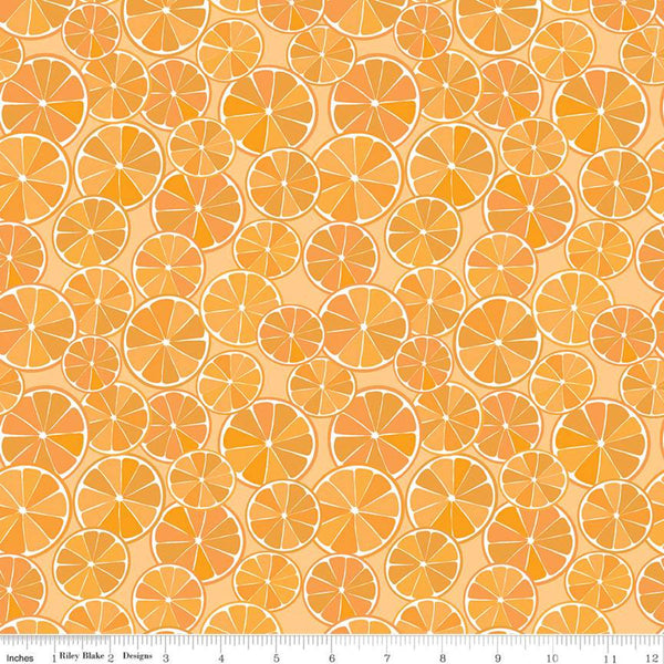 SALE Grove Slices C10141 Orange - Riley Blake Designs - Citrus Fruit Circles - Quilting Cotton Fabric