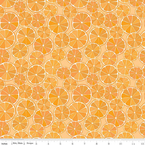 SALE Grove Slices C10141 Orange - Riley Blake Designs - Citrus Fruit Circles - Quilting Cotton Fabric
